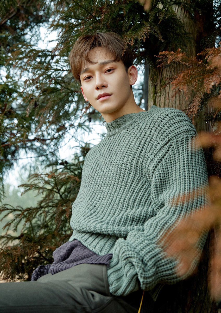 jonginchckn's tweet photo. ⋆.𐙚 ̊ ʜᴀᴘᴘʏ ʙɪʀᴛʜᴅᴀʏ 𝐂𝐇𝐄𝐍  ⋆.𐙚 ̊
   ── .✦ your voice, words, and smile has made someone’s day a little brighter. thank u for filling our hearts with your incredible music, warm smile, and endless sincerity. Luuuuv you! ❀
#CaptainCHENDay
#HappyChenDay https://t.co/sVxJL5gOIU
