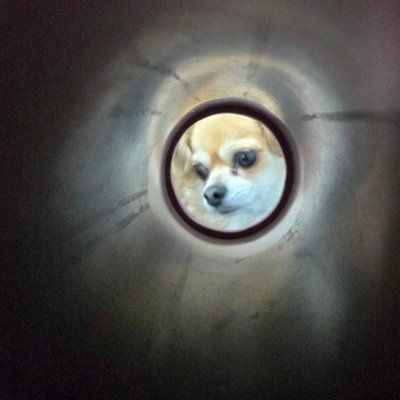 t8623758's tweet photo. #新しいプロフィール画像 https://t.co/ZkvHtXWvCQ