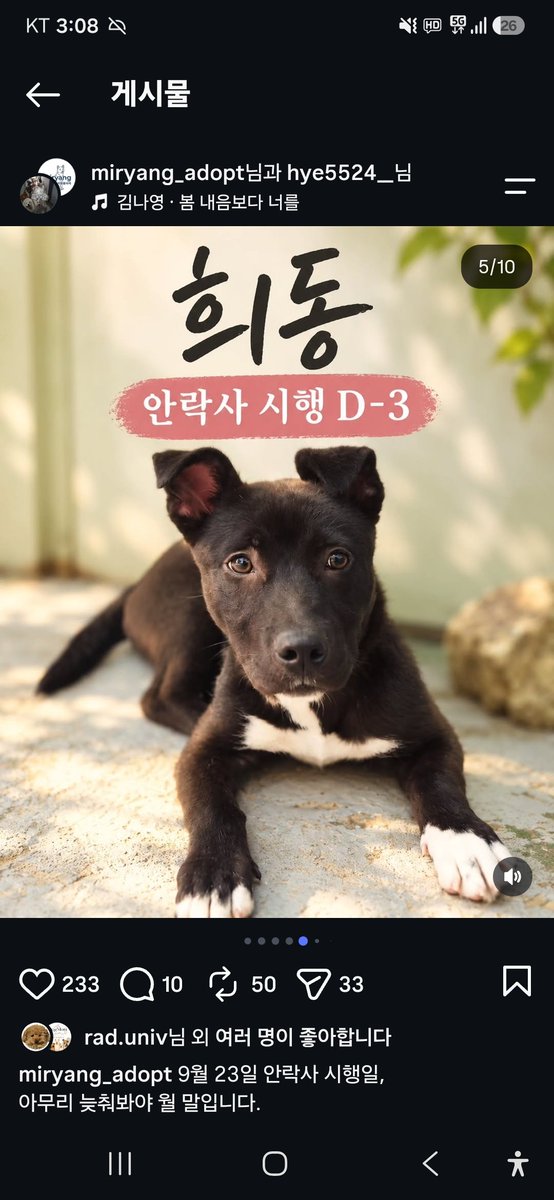 animalrtaccount's tweet photo. 입양문의: 010.2527.3490
9/23 밀양시안락사
아이들 정보 링크
https://t.co/qGb9UNwqWS https://t.co/CPaCqumfMV