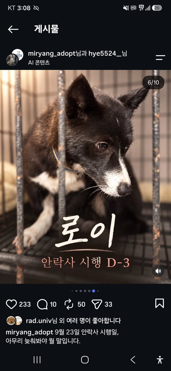 animalrtaccount's tweet photo. 입양문의: 010.2527.3490
9/23 밀양시안락사
아이들 정보 링크
https://t.co/qGb9UNwqWS https://t.co/CPaCqumfMV