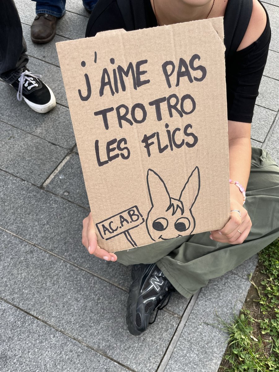 Pancarte "J'aime pas trotro les flics" avec un dessin de l'âne Trotro qui tient une pancarte ACAB