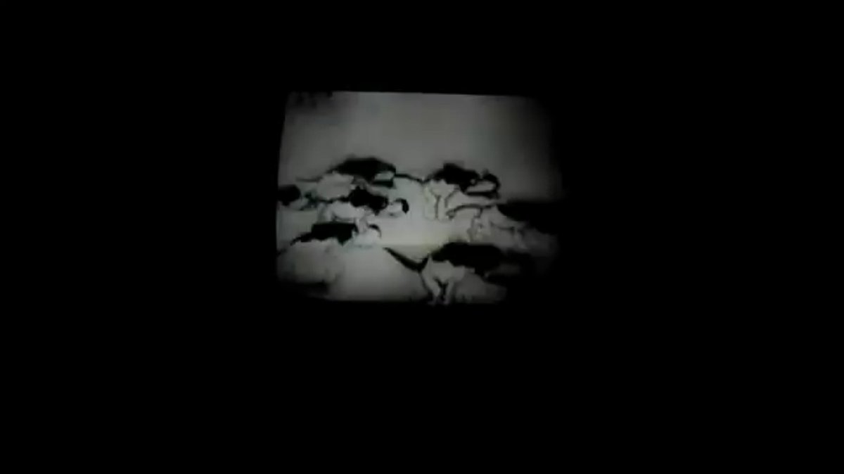 bouticure's tweet photo. runaway (1969) directed by standish lawder. https://t.co/NdnxaGwElK