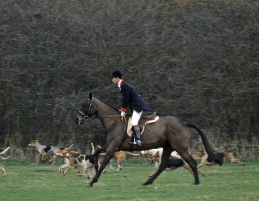 RivenRockRoad's tweet photo. @Sussex5525 They want a death and not a natural one.
Bloodthirsty as fox hunters.
Yes, that's KCIII. https://t.co/JNxF1bHWQ3