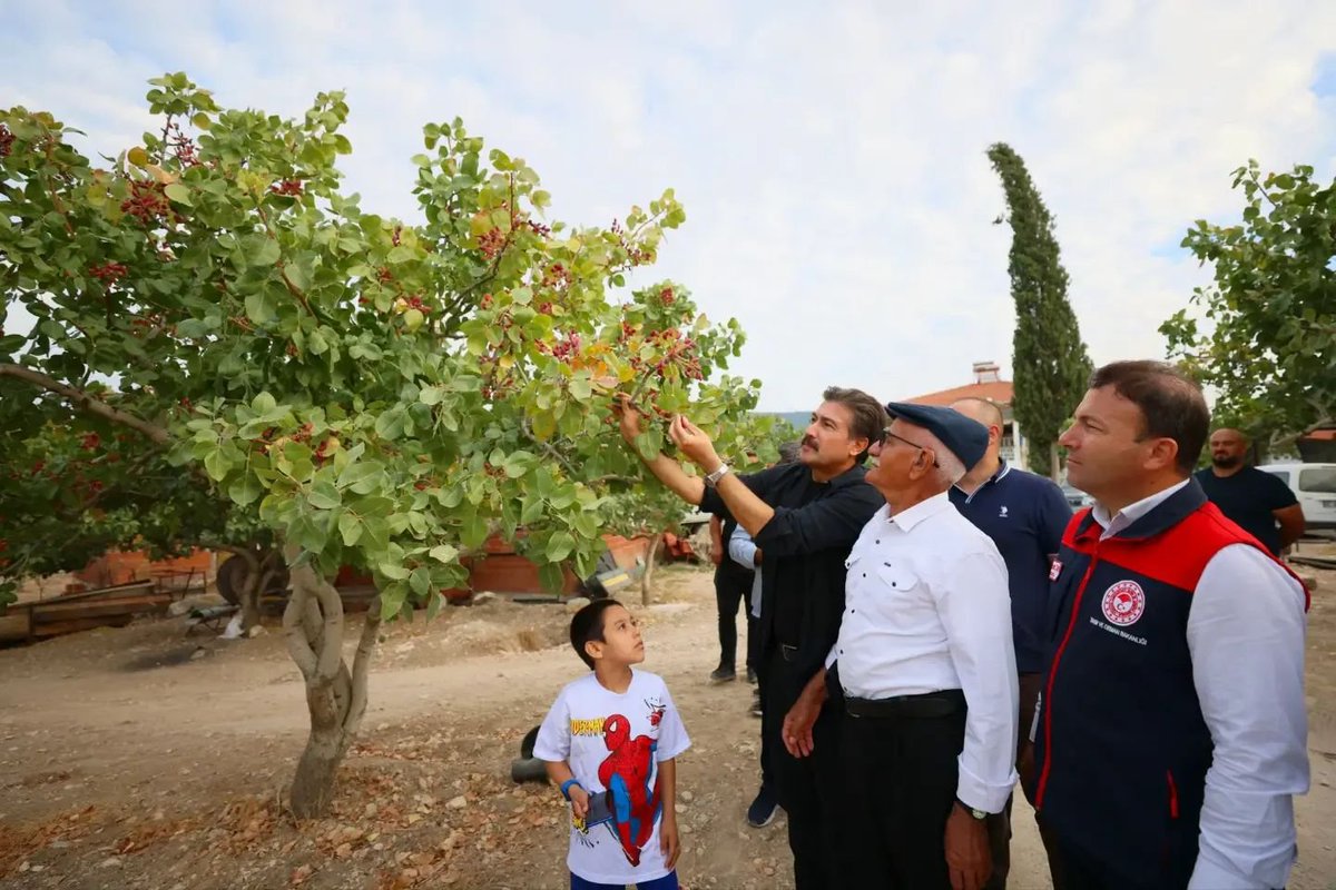 avcahitozkan's tweet photo. Gıda, tarım ve hayvancılık alanında faaliyet gösteren işletmelerimizi ziyaret ederek üreticilerimizle bir araya geldik.

• Çal ilçemizde faaliyet gösteren DÖHLER Gıda’nın konsantre meyve suyu üretim tesislerini ziyaret ederek üretim süreçlerini yerinde inceledik.

• Alişanoğulları Büyükbaş Hayvancılık İşletmesi sahibi Murat Alişan’ı işletmesinde ziyaret ederek, büyükbaş hayvancılığın durumu, üreticilerimizin sahadaki ihtiyaçları ve sektörün geleceğine ilişkin değerlendirmelerde bulunduk.

• Güney ilçemize bağlı Aşağıçeşme Mahallemizde, Muhtarımız Ahmet Kaya’nın büyükbaş hayvancılık işletmesini ziyaret ederek üretim faaliyetleri hakkında bilgi aldık.

• Mehmet Gül’e ait kekik işleme tesisini ziyaret ederek, üretim süreçleri ve tesisin faaliyetleri hakkında bilgiler aldık.

• Antep fıstığı üretiminin verimli şekilde gerçekleştirildiği Güney ilçemizde, Mehmet Çeliker’e ait Antep fıstığı tarlasında incelemelerde bulunduk.

• Öğün Hayvancılık Süt Sığırı İşletmesi’ni ziyaret ederek işletmenin çalışmaları, süt sığırcılığı ve hayvancılık faaliyetleri hakkında bilgi aldık.

Üreten, emek veren ve alın teriyle Denizli’mizin ekonomisine katkı sunan tüm üreticilerimize kolaylıklar diliyorum.