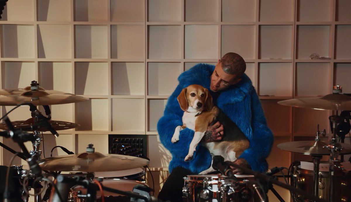 purtyGF's tweet photo. Never judge a book by its cover. Thank you @travisbarker Travis Barker takes a step for good https://t.co/Fz3wclB08a via @YouTube @humaneworldorg
#compassion #humane #bekind #nobeagleexperiments https://t.co/kgvtsNiL2o
