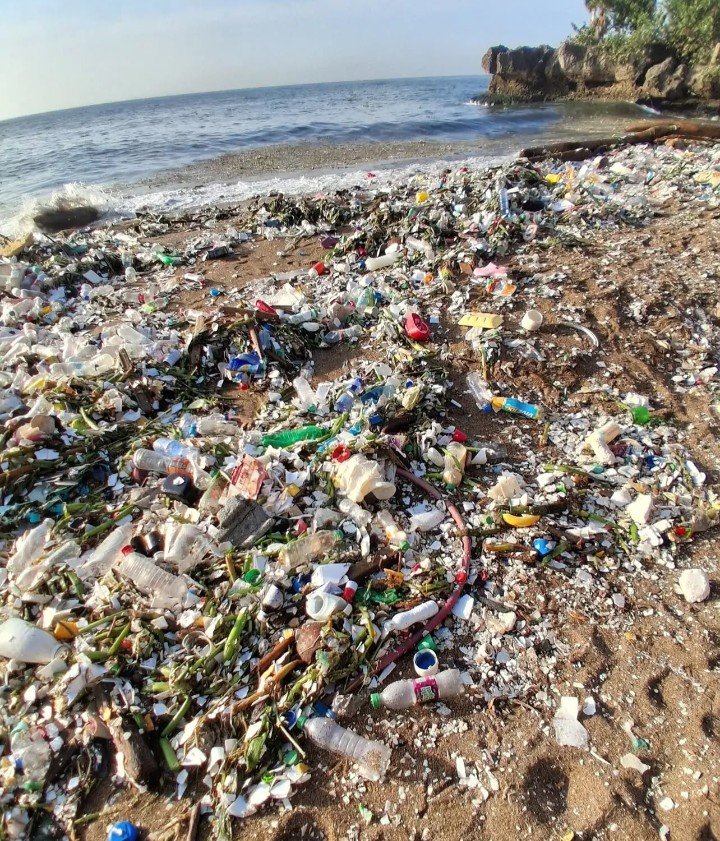 missfrizzyyy's tweet photo. Vine muerta del voluntariado pero logramos limpiar todo, DEJEN DE TIRAR BASURA PUERCOS https://t.co/IOHqvcEQQF