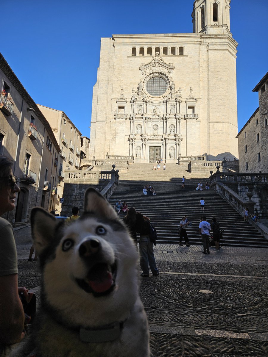 virKirval's tweet photo. Hoy Silver ha conocido Girona https://t.co/MhckQUvnTk