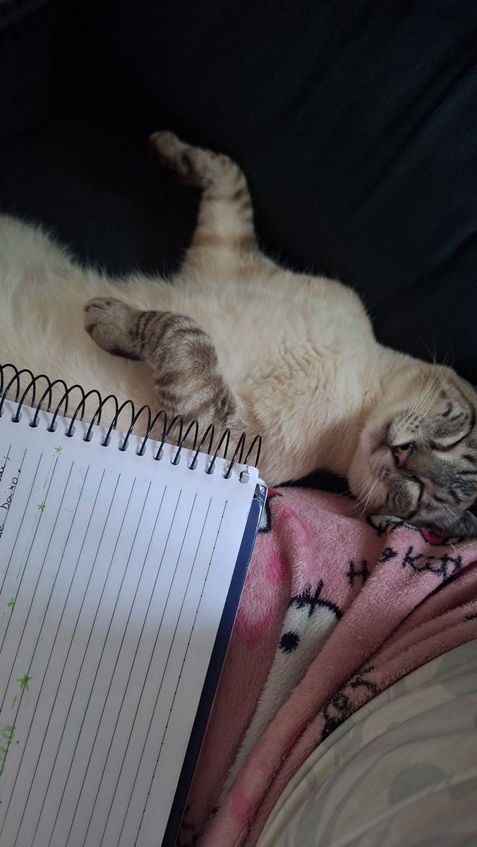 metamoretro's tweet photo. eis que voce quer estudar mas essa é a sua visao afs https://t.co/HUuRfuwkaQ