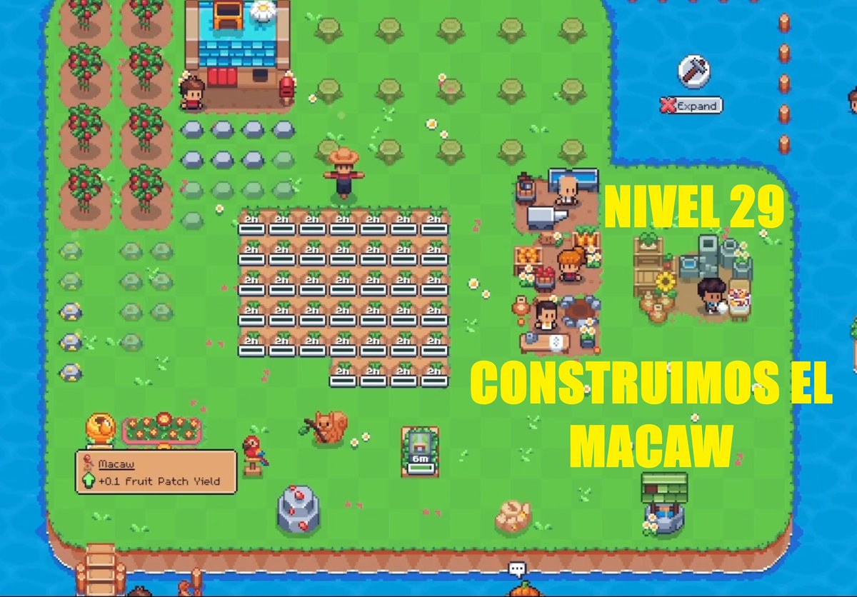 adrrosdel's tweet photo. Construimos el macaw para ganar más frutas. Y subimos al 29 para seguir expandiéndonos en @0xSunflowerLand. https://t.co/9Nn9RRY6hb
