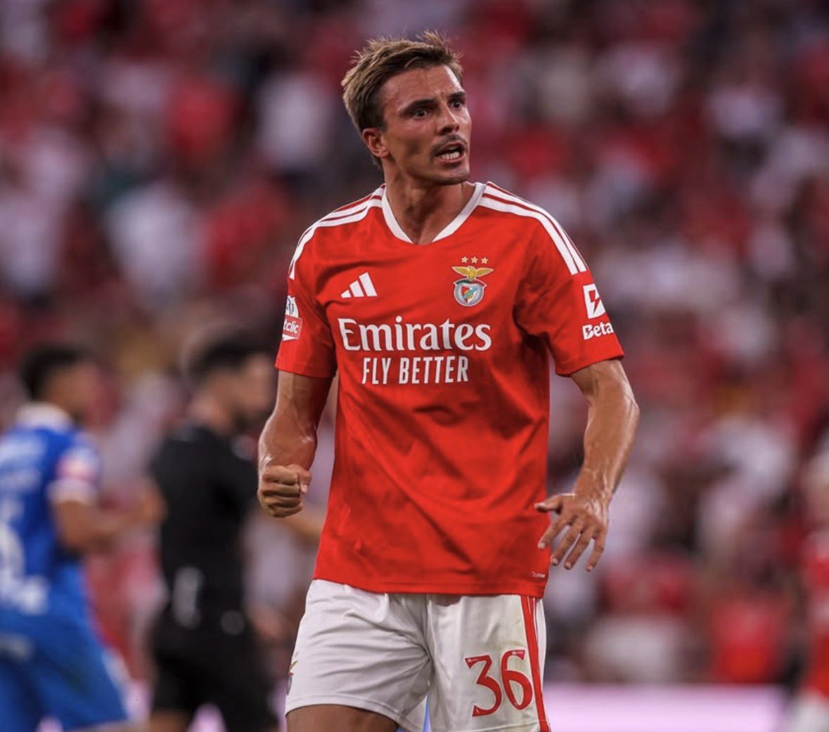 vaibenfica1904's tweet photo. 🔴⚪️ XI BENFICA | Samuel, Bah, Tomás Araújo, Lenglet, Dahl, João Palhinha, Aursnes (C), Prestianni, Sudakov, Rafa e Pavlidis https://t.co/W55ir1Uczz