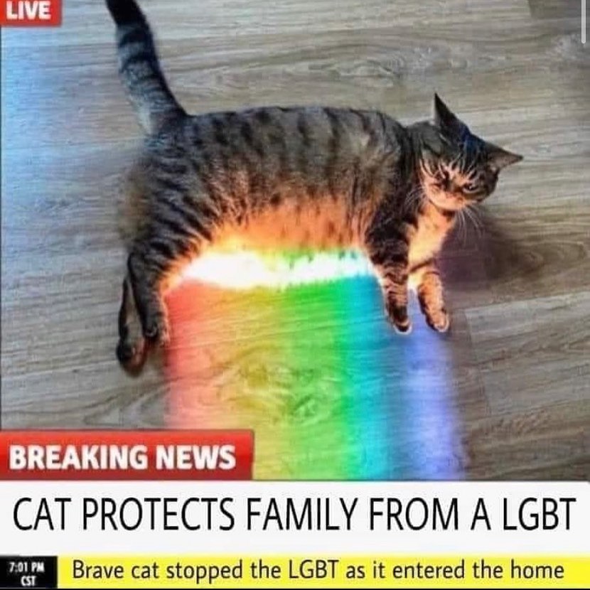 PunchingCat's tweet photo. https://t.co/vzedQfHDUG