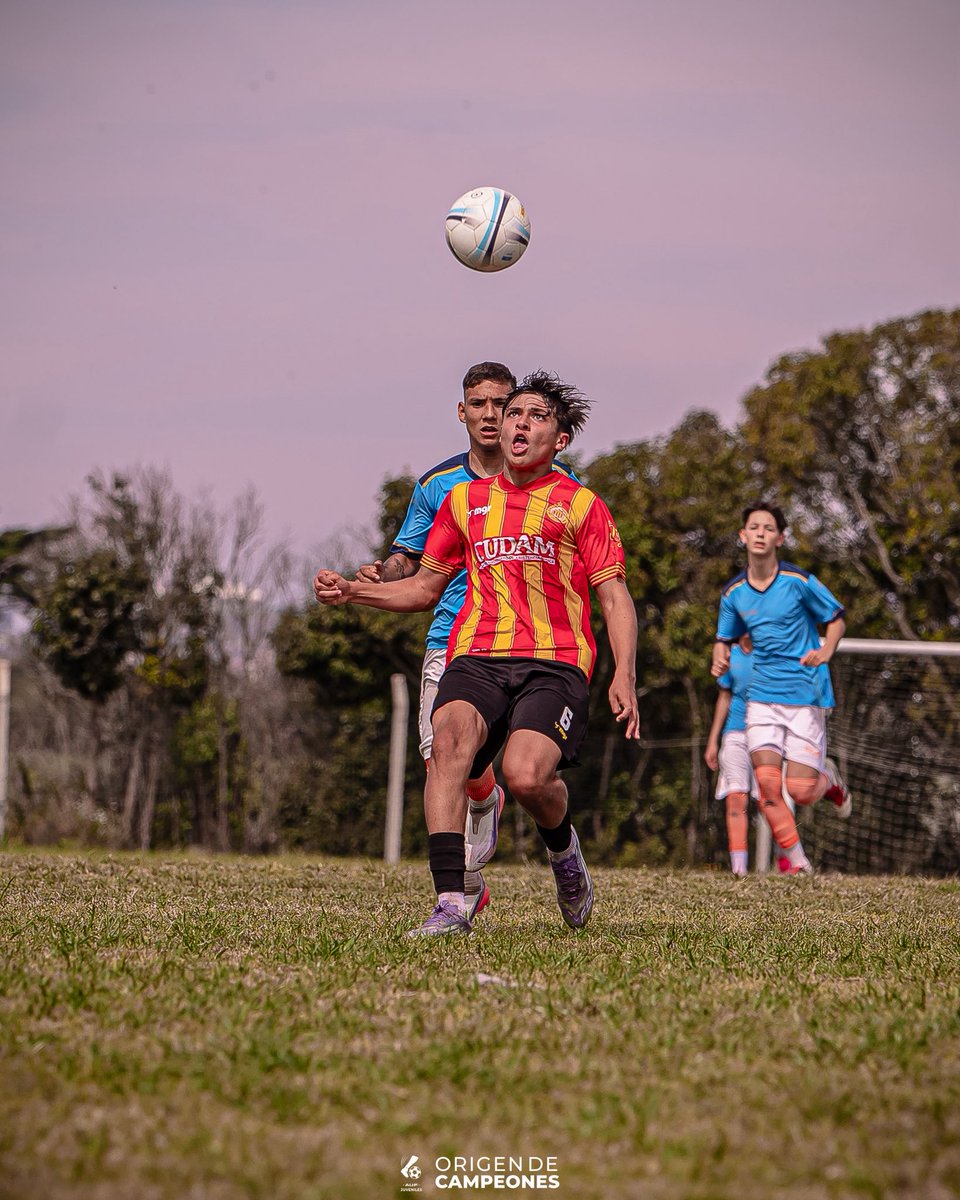 JuvenilesAUF's tweet photo. Caluroso domingo de 𝘀𝘂𝗯-𝟭𝟱 🔥 https://t.co/zTii8FTu1N