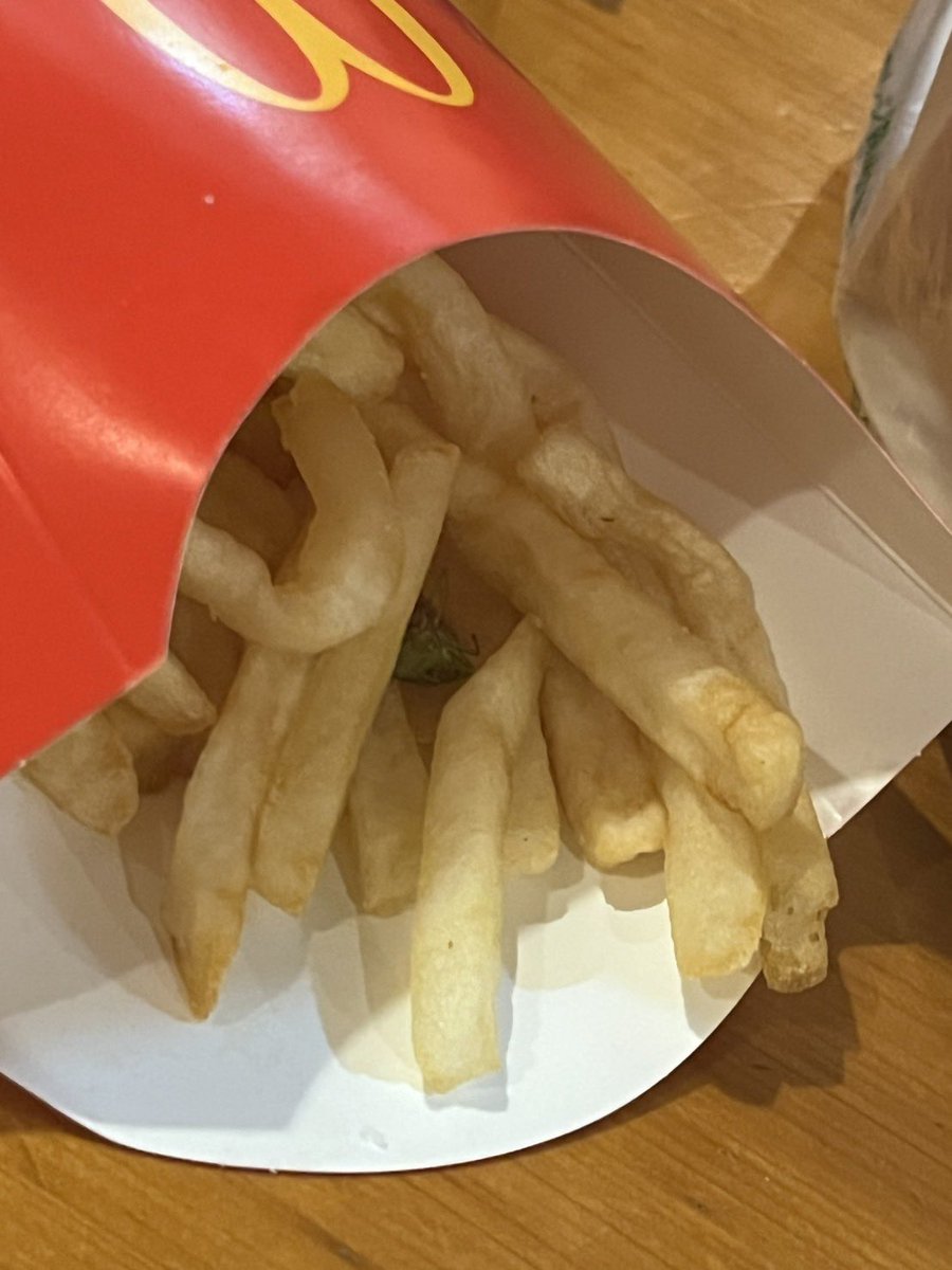 108o0's tweet photo. マックUberで頼んだらポテトの中に死んだカメムシ入ってた結構泣きそう
カメムシ大量発生やめろや https://t.co/tEkT2yAI0K