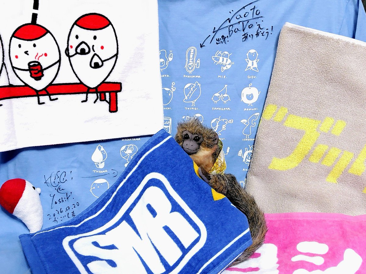mammuthus83's tweet photo. #鶴 5周目の47都道府県ツアー #鶴フェスへの道 観に鹿児島SR HALLに行ってきたでー！
今回お初の #吉田山田 と鶴フェスでチラ見しかできんかった #リアクションザブッタ が一緒に来てくれたんやけどめっちゃ良かったし楽しかった！
勿論鶴も最＆高！！久しぶりにガン見できたわ笑
無事戻ってきてな〜 https://t.co/xUOO4Hh9Yk