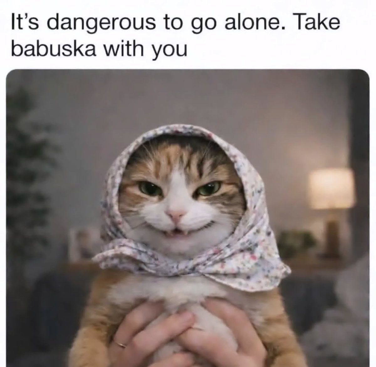 lolsbox's tweet photo. #lolsbox #cat #funny #funnycats #cutecat https://t.co/UezA7UGn8K