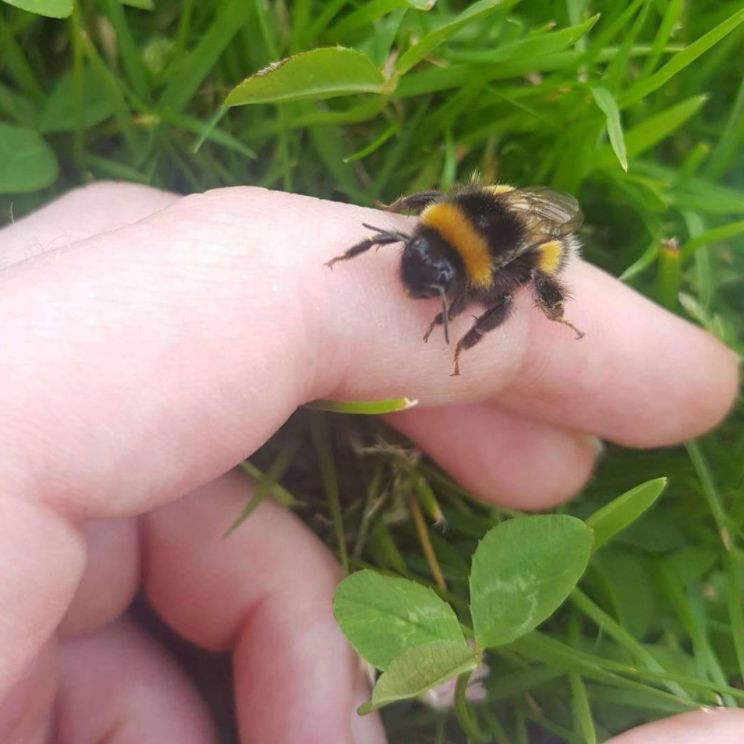 qsmparin's tweet photo. Today I made a friend :) https://t.co/WxxGMmjZmf