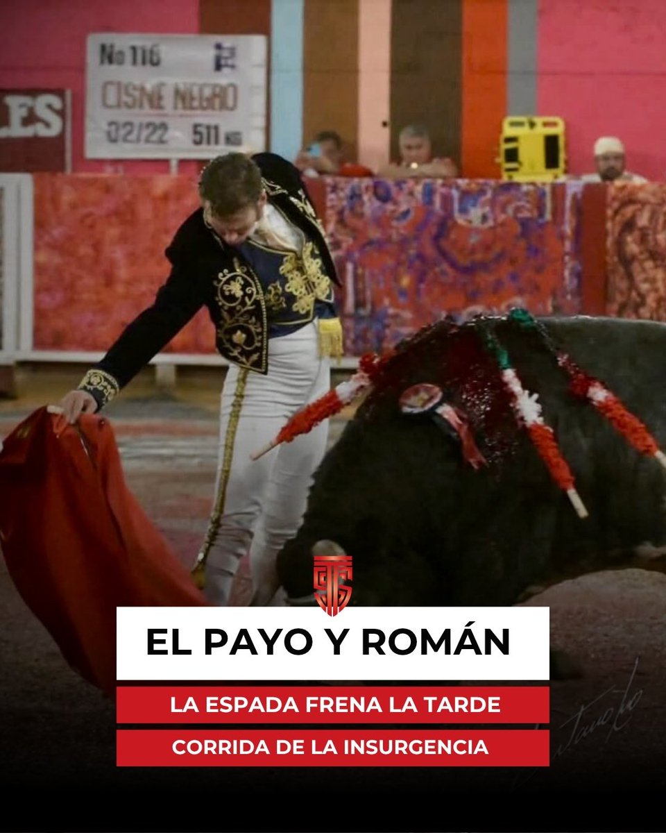 TitanTaurino's tweet photo. 🐂🎼 FAENAS DE CALIDAD, PERO SIN TROFEO
El Payo y Román firmaron los momentos más destacados de la Corrida de la Insurgencia, aunque la espada impidió el triunfo.
👉 Conoce todos los detalles en https://t.co/MPYqLOo9W6 ⬇️
https://t.co/iAP7mvtZ53
#ElPayo #Román #Aguascalientes https://t.co/jl68hQwQg9