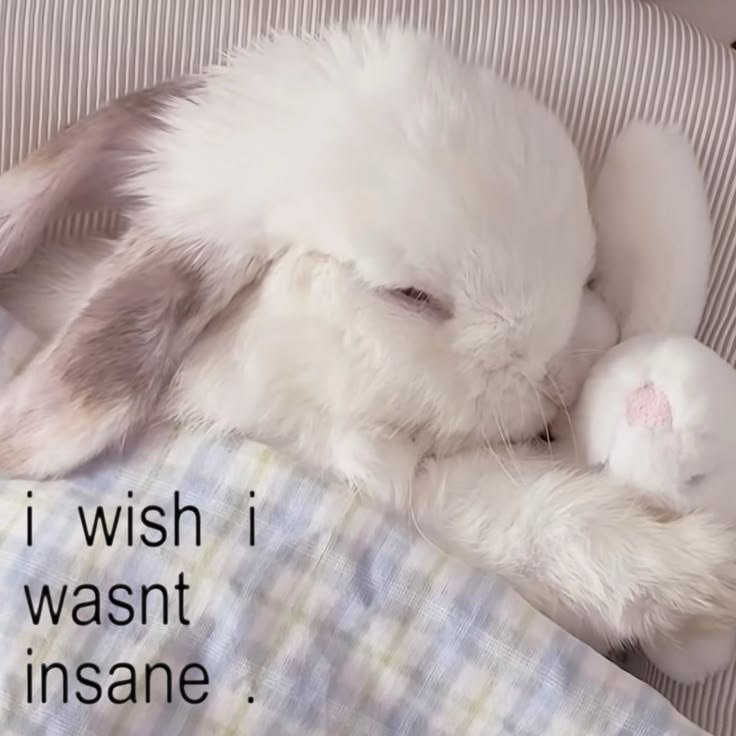 bunviie__'s tweet photo. but I'm insane in the cute way, right? https://t.co/xtAtQlrpkO