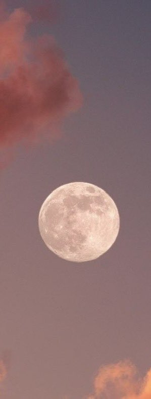 prtygal777's tweet photo. The moon https://t.co/hGaWzfzVp0