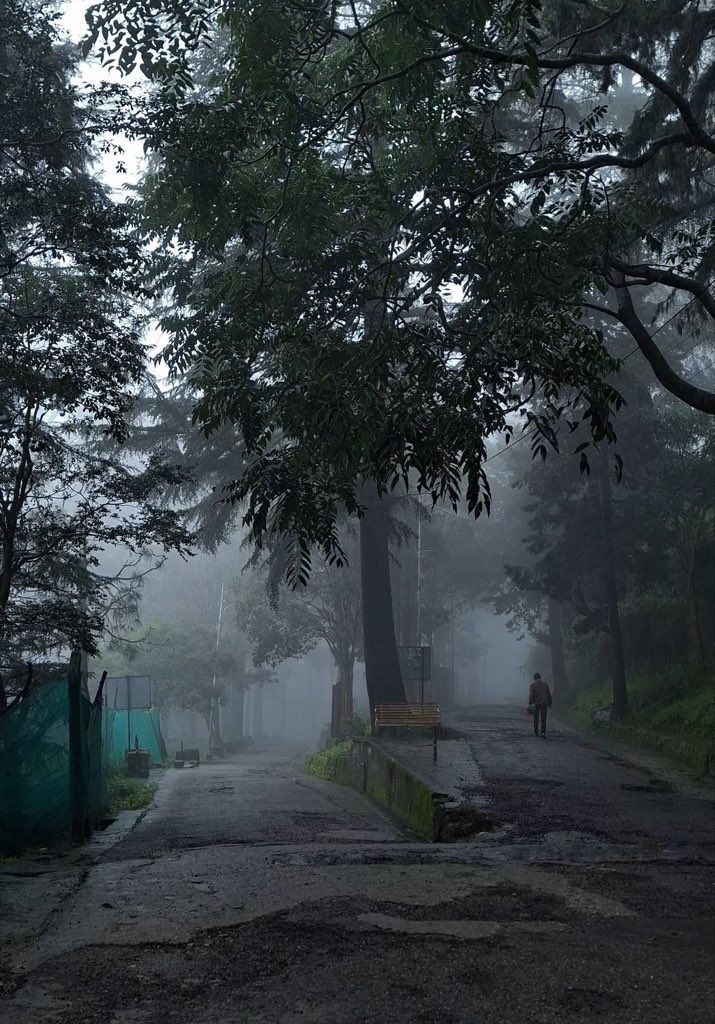 gloomyvisuaIs's tweet photo. gloomy evening. https://t.co/qLPHoyeOjJ