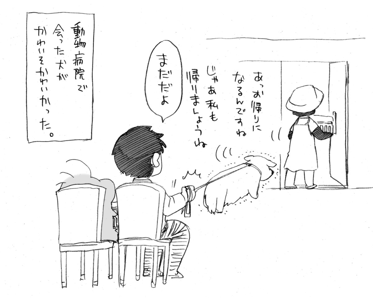 mogura452000's tweet photo. 扉が開くたびに帰ろうとして、帰れないと分かるとしょぼしょぼと飼い主さんの足元に戻ってきてウロウロしてました。
ワクチンと健康診断に来たそうです。 https://t.co/VmP99dKkY3