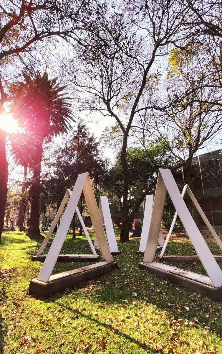 SECTUR_mx's tweet photo. 🖼️✨ #UnDíaComoHoy de 1964, abrió sus puertas el Museo de Arte Moderno en la #CDMX, un espacio dedicado a resguardar, difundir y celebrar lo mejor del arte mexicano del siglo XX. 🇲🇽🎨

Con obras icónicas de artistas como Frida Kahlo, Diego Rivera, David Alfaro Siqueiros y Remedios Varo, este museo se ha convertido en un referente cultural que inspira a generaciones. 🌟

Visítalo en el Bosque de Chapultepec y descubre un recorrido por la historia, la creatividad y la identidad de México. 🙌