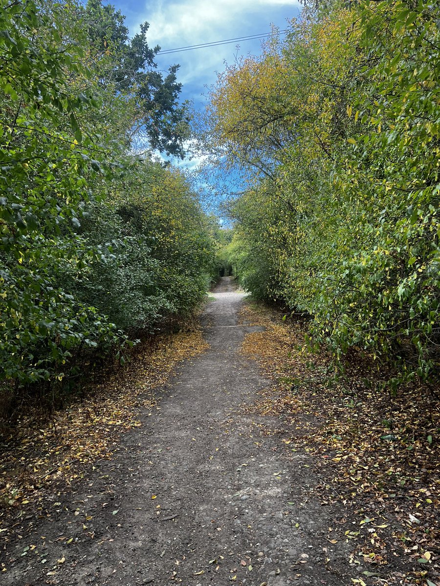 nadooshjas's tweet photo. #touchedgrass #walkmaxxing ✨🍂 https://t.co/vMCWmeSAMM