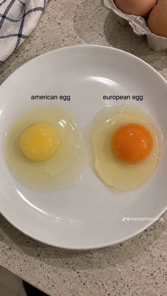 haberebibak's tweet photo. Amerika ve Avrupa yiyecekleri arasındaki farklar: https://t.co/6xI2gBfbTw