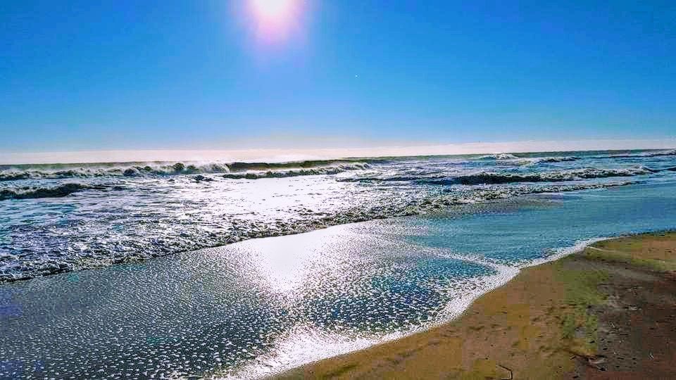 Floradawn_'s tweet photo. @StarSpangelTx Good morning https://t.co/WTmBWjBMJ6