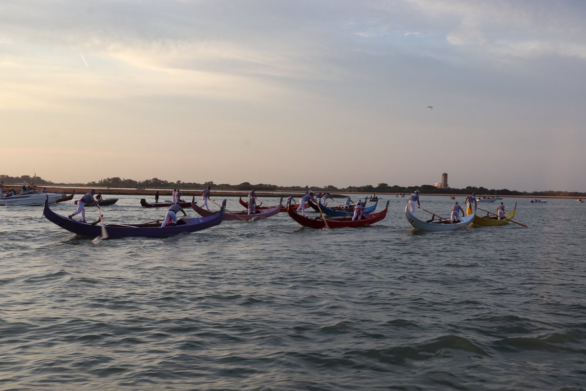 comunevenezia's tweet photo. 🔸Dalle Schie ai gondolini, una giornata di grandi sfide che ha messo in luce l'impegno dei campioni della voga e i tanti giovani protagonisti che si stanno affermando nelle diverse categorie. https://t.co/OF6emUdpCq