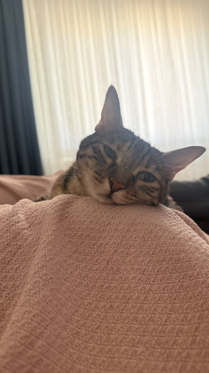 mavimujde's tweet photo. Dünya güzeli dünyaaaa🧿🥹❤️ https://t.co/w5fvj3L42R