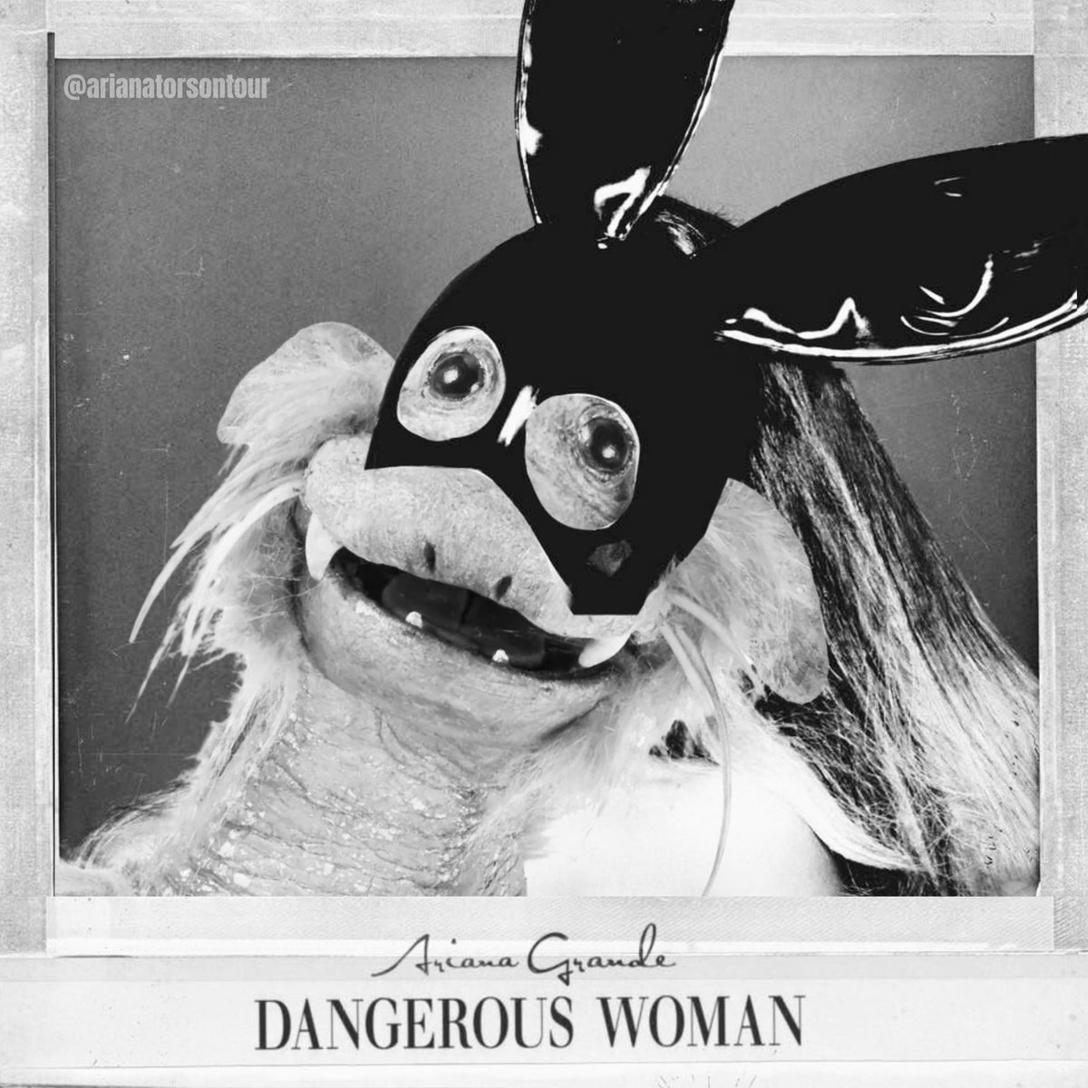 arianatorontour's tweet photo. imprisoned woodland creature as ariana albums https://t.co/n9TDWQedO9