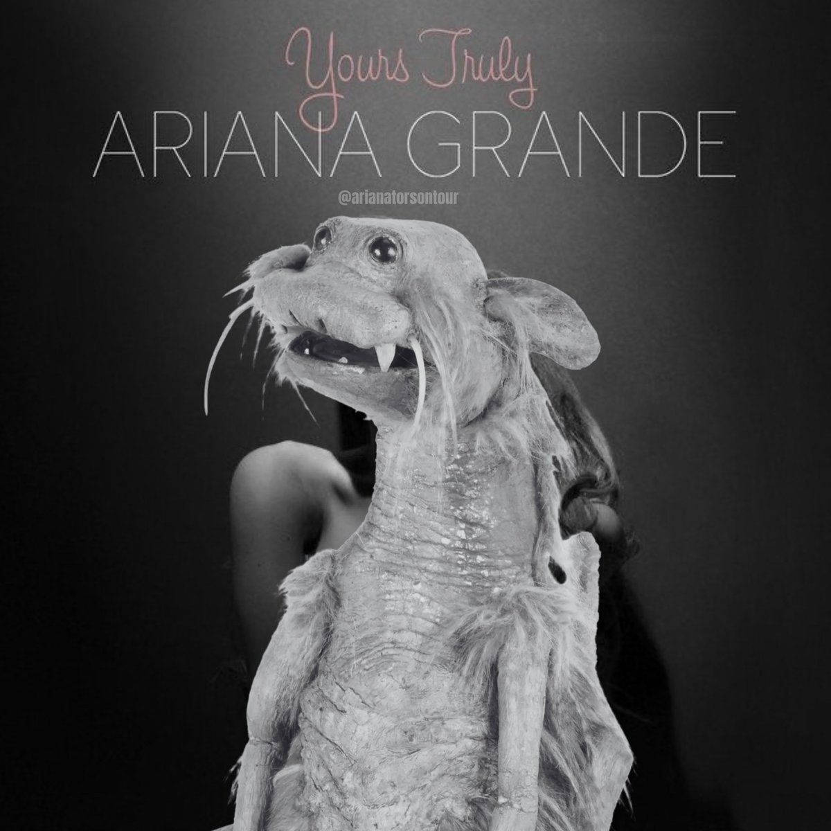 arianatorontour's tweet photo. imprisoned woodland creature as ariana albums https://t.co/n9TDWQedO9