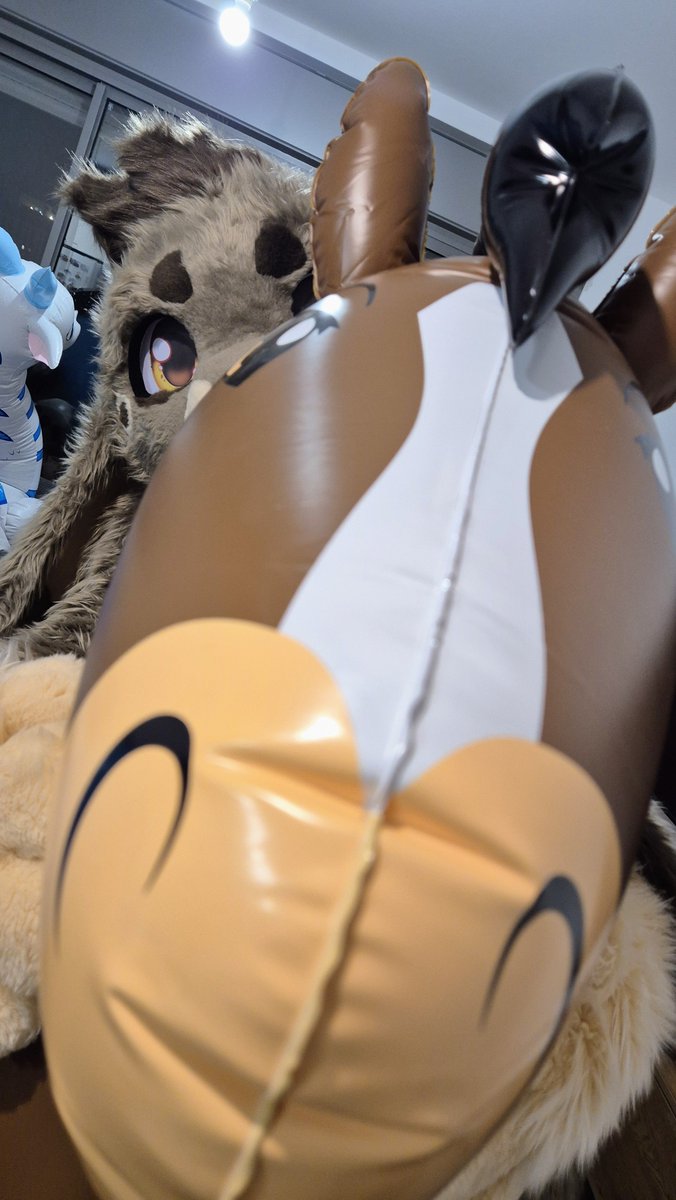 MikTheFoxx's tweet photo. Bunny found a honse
HONSE is pretty cute 🥰

#SqueakySunday

📷: @gomarkro 
🐴: @HorseplayToys https://t.co/hND0JiSmP9