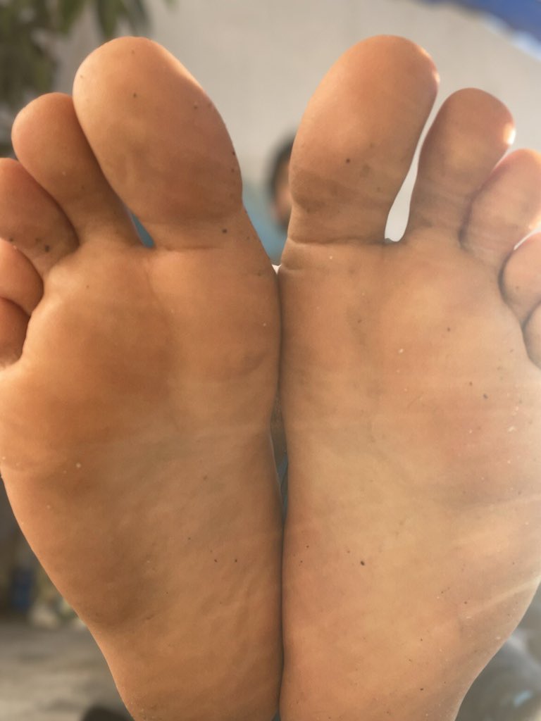 SamiOwnsYou's tweet photo. Know your worth faggots

Foot fetish male footmale gay bi findom alpha finsub paypig moneyslave mnwo debt contractor , collection humanatm master beta wallet drain https://t.co/JpTVNyTsQt
