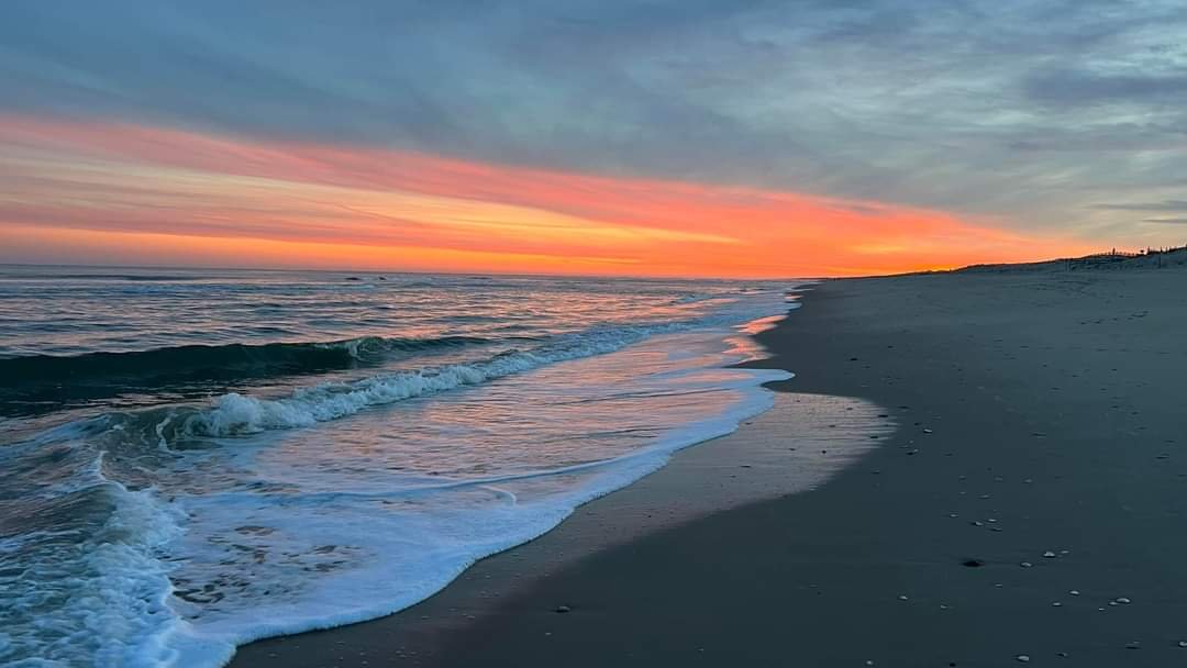 Floradawn_'s tweet photo. @StarSpangelTx Beautiful Chincoteague Island, Virginia https://t.co/MZ499jXEw9