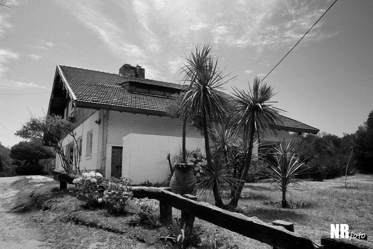 NicoRatier's tweet photo. #argentina #villagesell #reserva #arboles #tree #forest #paisaje #paysage #paisagem #landscape #Fotografia #foto #photography #photo #reservanatural #natural #flora #arbre #foret #bosque #house #casa #blackandwhite #blancoynegro #blancetnoir https://t.co/46KFDhQ5x1