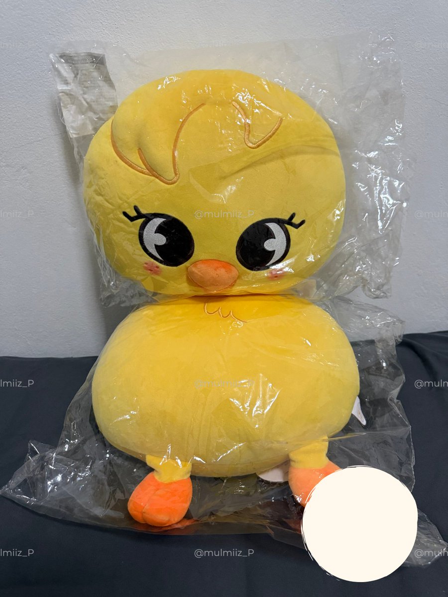 MulMiiz_P's tweet photo. ❤︎ Skzoo plush cushion (BbokAri)
❤︎ Skzoo cushion hip ver. (BbokAri)
ไม่เคยแกะ ป้ายแท็คอยู่ครบ พรีมาน้องละ 1800฿ ส่งต่อน้องละ 1600฿ ค่ะ
รับน้องไปวางคู่กัน 3000฿ งั���บ (2ตุวน่ารักม๊าก)

ค่าส่งเหมา 50฿
สามารถขอดูรูปเพิ่มเติมได้ค่า ₍^. .^₎⟆

#ตลาดนัดเด็กหลง #ตลาดนัดstraykids https://t.co/BhiV3jmWH4