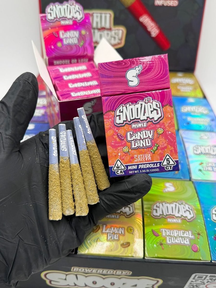 weedplugggg's tweet photo. Snoozies Mini Prerolls (Authentic)
 
3.5g per pack. 0.7g per preroll. These r smokin 🥵. Personally vouch for these. A lot of upgrades on the Snoozies 
#vapes
#carts
Telegram link 
https://t.co/Yf41b5Zm1v https://t.co/nfQyBlUdI9