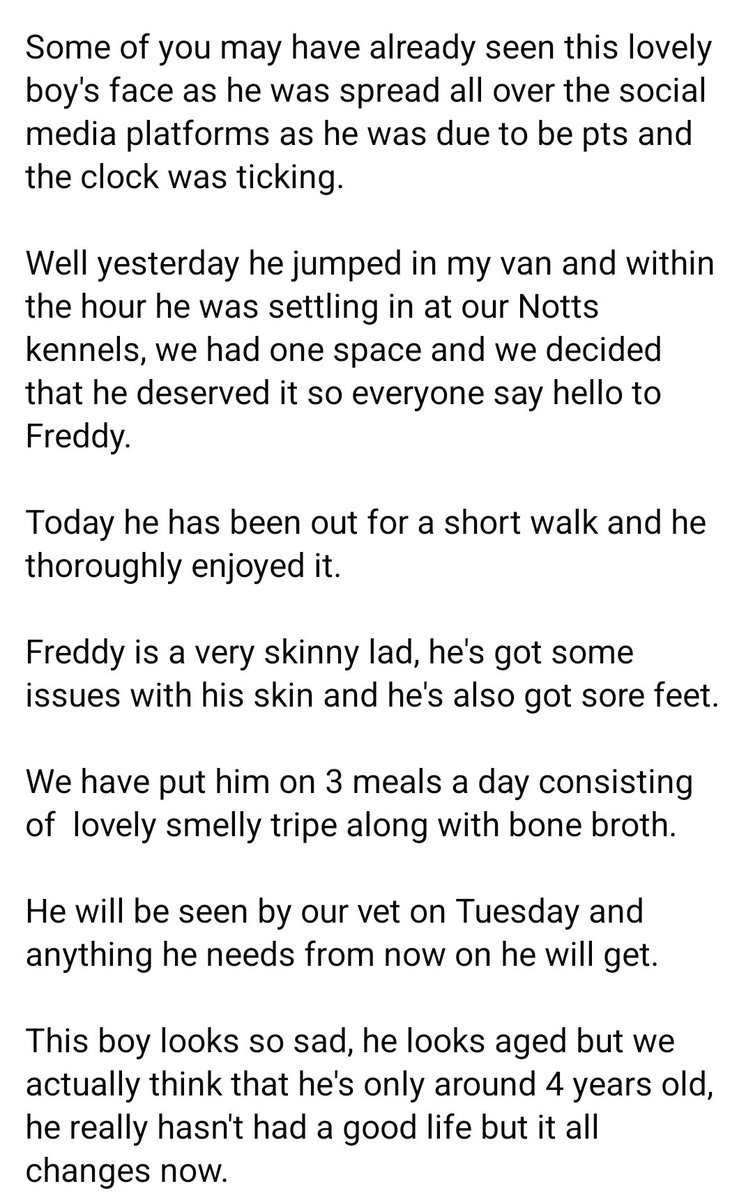 gsrescueelite's tweet photo. Safe now Freddy, a full belly and a comfy bed ❤️

The demand for space is relentless, calls from pound pullers keep coming as do the surrender forms. 
If you can help us help more dogs like Freddy we would be so grateful 

https://t.co/axSS35Y5MC

#dogs #GermanShepherd https://t.co/IqNpbwzBOf