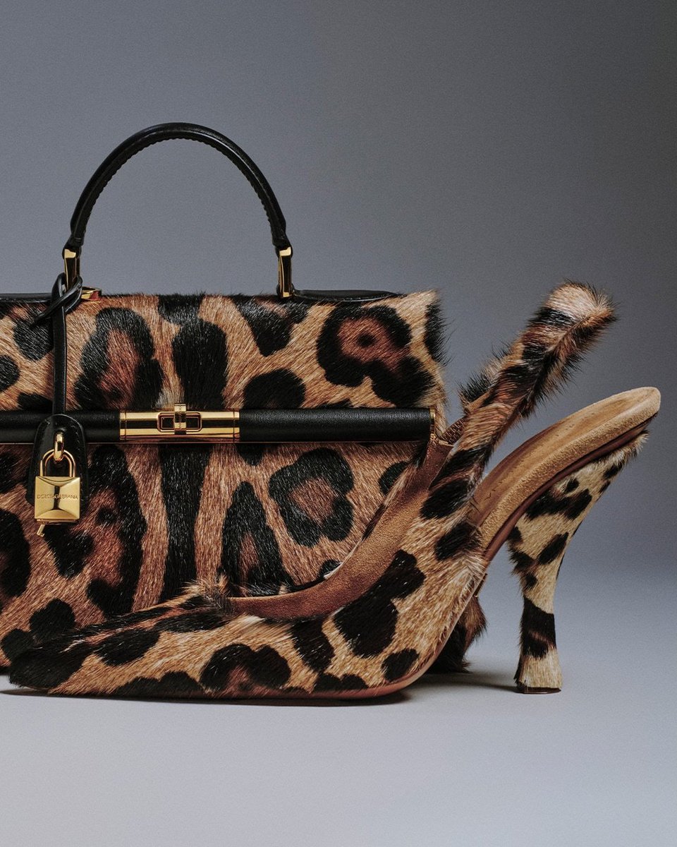 Fashion_Retro_X's tweet photo. Dolce &amp; Gabbana Leo Street Collection https://t.co/ZXrn0KmKJS
