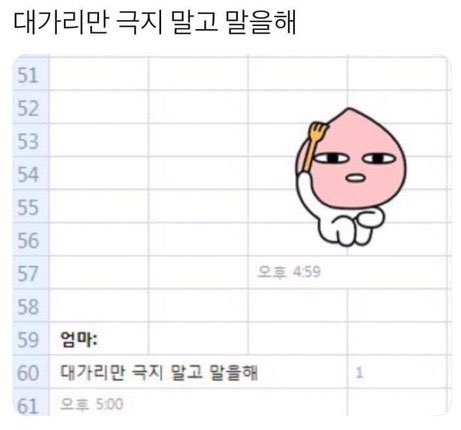manduxjjinbbang's tweet photo. 타이베이 가서 뭐할까?? 라고 했더니 대가리만 극는 어피치가 배달옴 https://t.co/NSqdKJmTTT