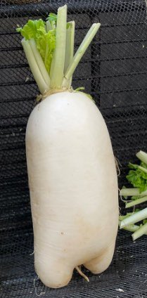 Poogie_____ tweet picture