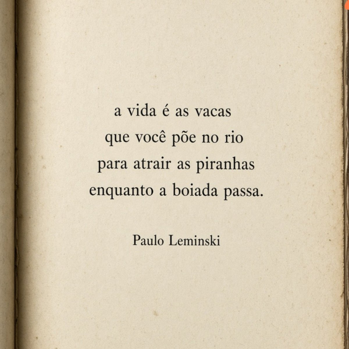 jornalnota's tweet photo. O poema que é o maior enigma e mais representa a vida pra mim. 

Leminski ❤️ https://t.co/plOZsR4rfp