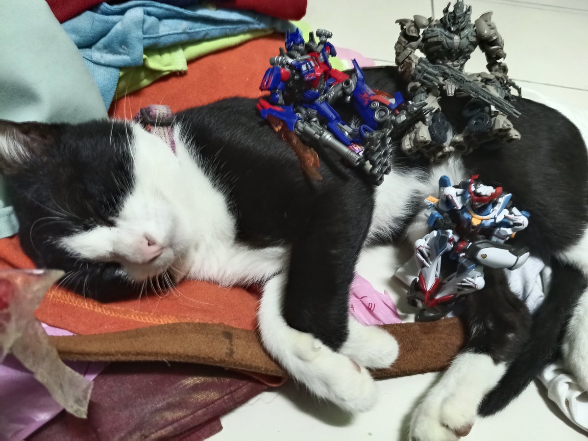 Nataga0's tweet photo. 🌟 So happy after I see my little friend 

Good late evening, everyone. Although I haven't been posting much artwork on social media lately—as work and studies have been taking up my time off—please don't worry; we might see each other again soon. https://t.co/4r8VaxrXNI