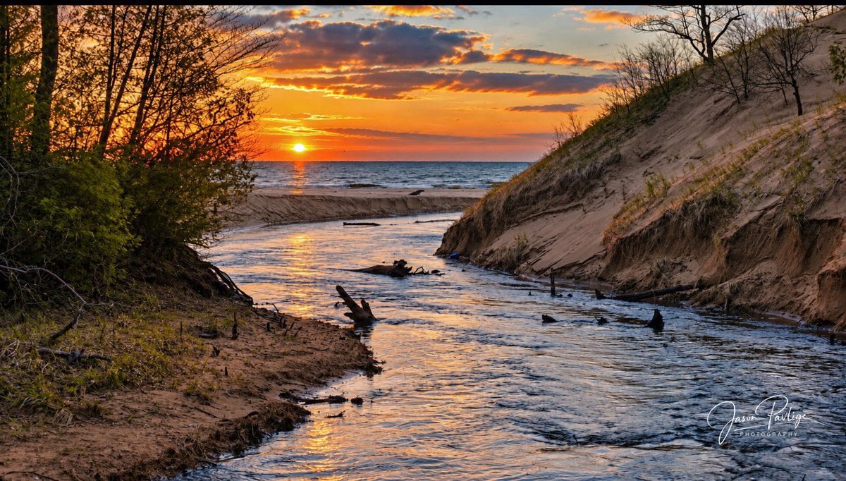 JasonPavPhotos's tweet photo. One of my favorite spots in P.J. Hoffmaster State Park is right here, where Little Black Creek flows into Lake Michigan. There’s something so peaceful about watching the creek wind through the dunes before meeting the big lake. 🌊🌲📸 https://t.co/8zCldHnLhd