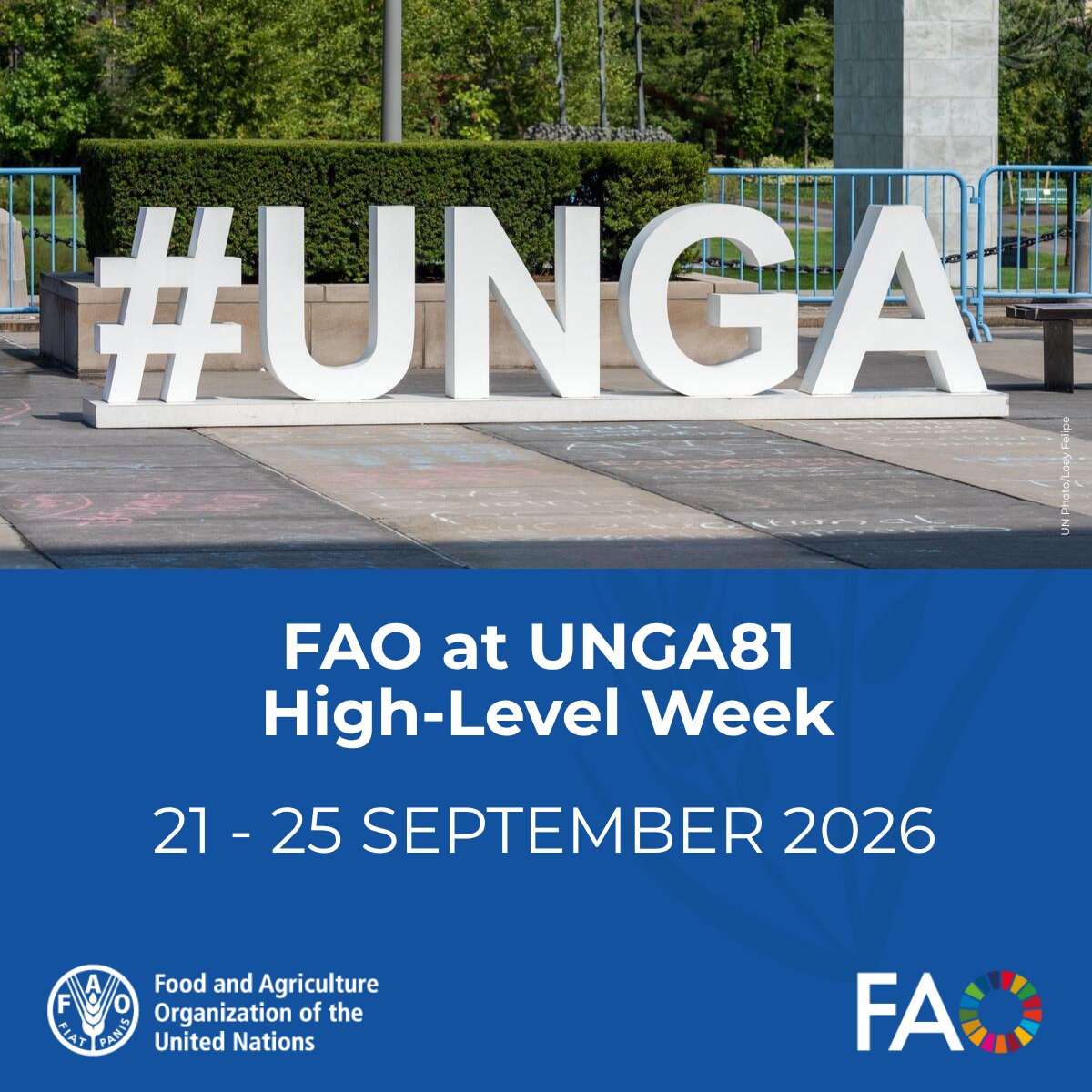 FAONewYork's tweet photo. ⏰ We’re almost there —High-Level Week of the 81st Session of the United Nations General Assembly starts Monday!

Throughout #UNGA 81, @FAO will engage with Members, partners and stakeholders to advance discussions on food security, nutrition and more.

 👉https://t.co/EJqqEtEZCV https://t.co/4Ln5PQjr6s