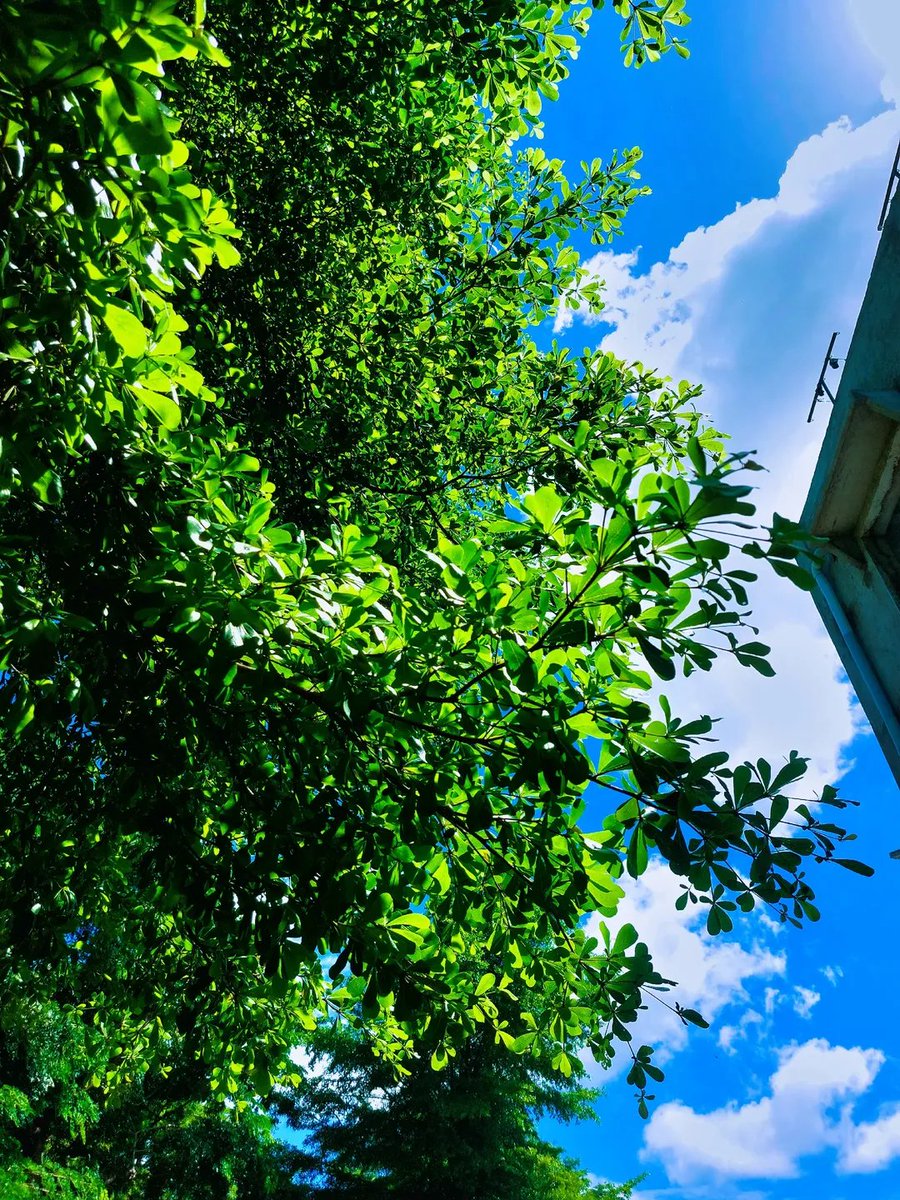 arapnyangoi's tweet photo. Technical University of Mombasa💙😉🤭 https://t.co/GaVZUPI1Ic