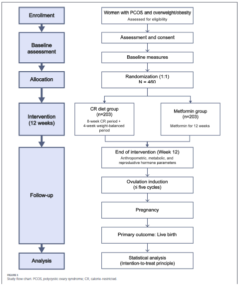 doctorneyro's tweet photo. Comparative #efficacy of #CRdiet vs #metformin over a 12week prior to #OI therapy in #women #PCOS and #overweight/#obesity
Early treatment holds signnt potential to disrupt the #pathophysiologicalcycle as #hyperandrogenism, excessive #adiposity, and #IR
https://t.co/u3ibOxvGSd https://t.co/6rKpX4d9Tn