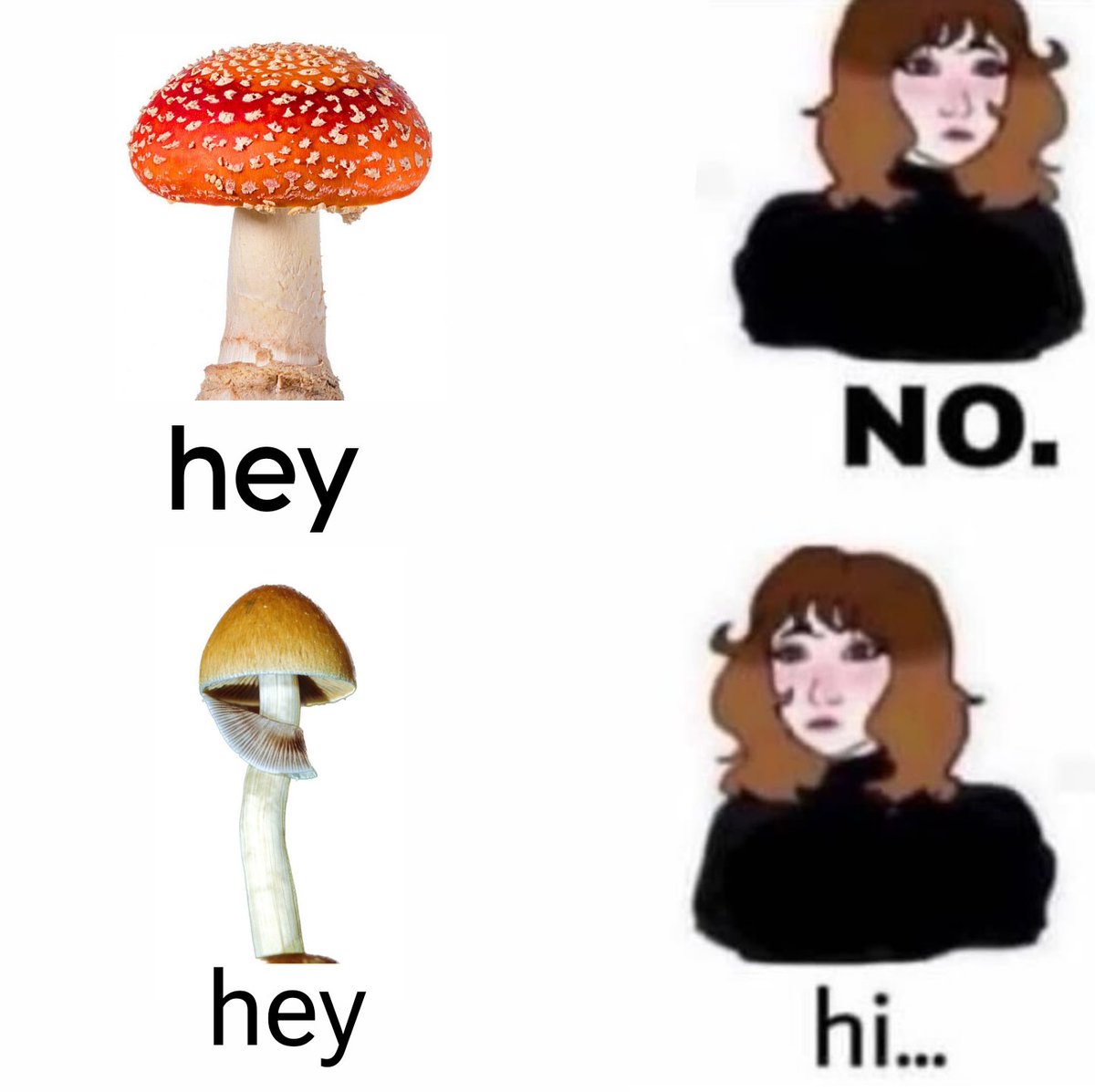APsychedelics's tweet photo. Hey 🍄 https://t.co/CiP7zzSAzH